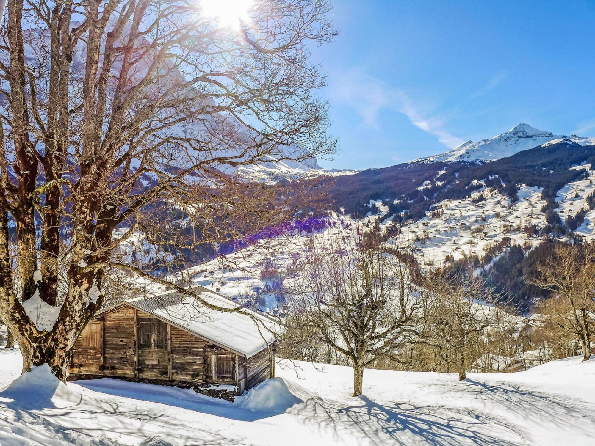 Apartment Chalet Hobelbank By Interhome Grindelwald Exterior photo