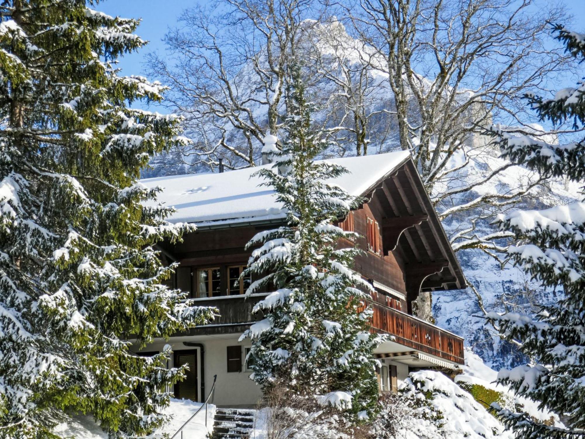 Apartment Chalet Hobelbank By Interhome Grindelwald Exterior photo